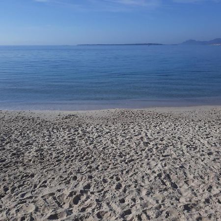 Le Palais Du Tropique Appartement Vue Mer 5E Etage Avec Ascenseur Juan-les-Pins Zewnętrze zdjęcie