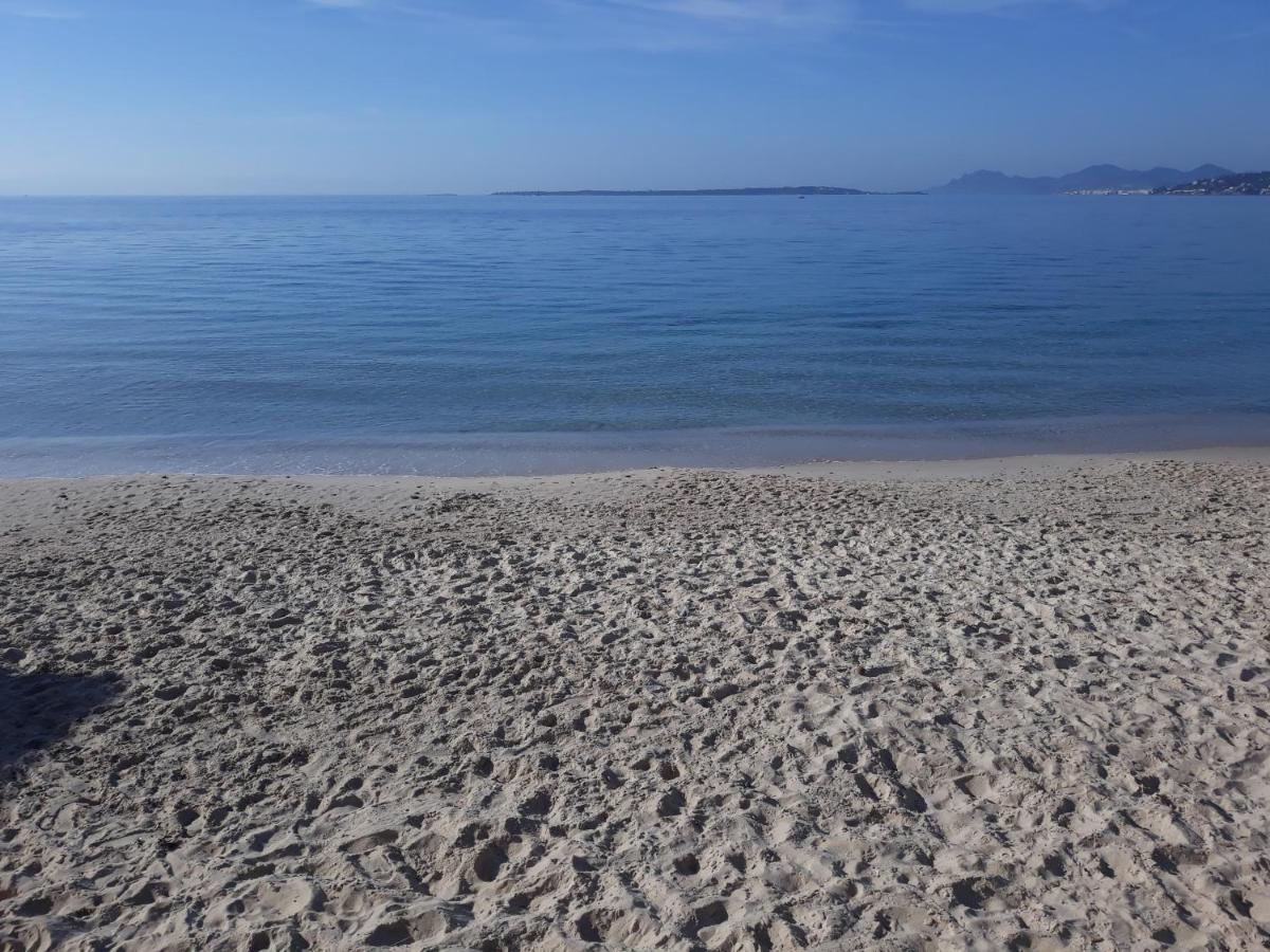 Le Palais Du Tropique Appartement Vue Mer 5E Etage Avec Ascenseur Juan-les-Pins Zewnętrze zdjęcie