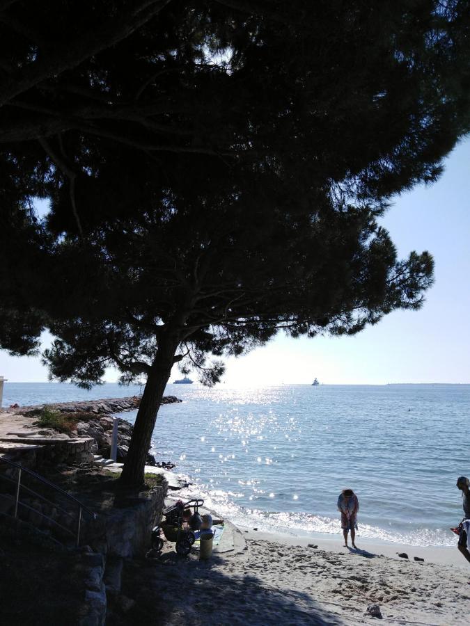 Le Palais Du Tropique Appartement Vue Mer 5E Etage Avec Ascenseur Juan-les-Pins Zewnętrze zdjęcie