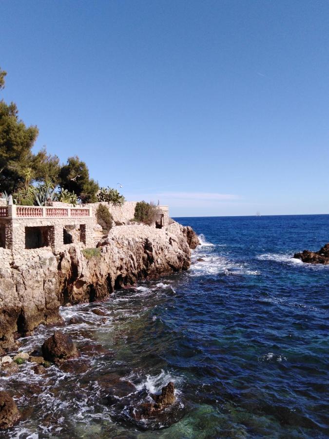 Le Palais Du Tropique Appartement Vue Mer 5E Etage Avec Ascenseur Juan-les-Pins Zewnętrze zdjęcie